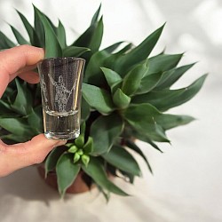 Shotglaasjes personaliseren